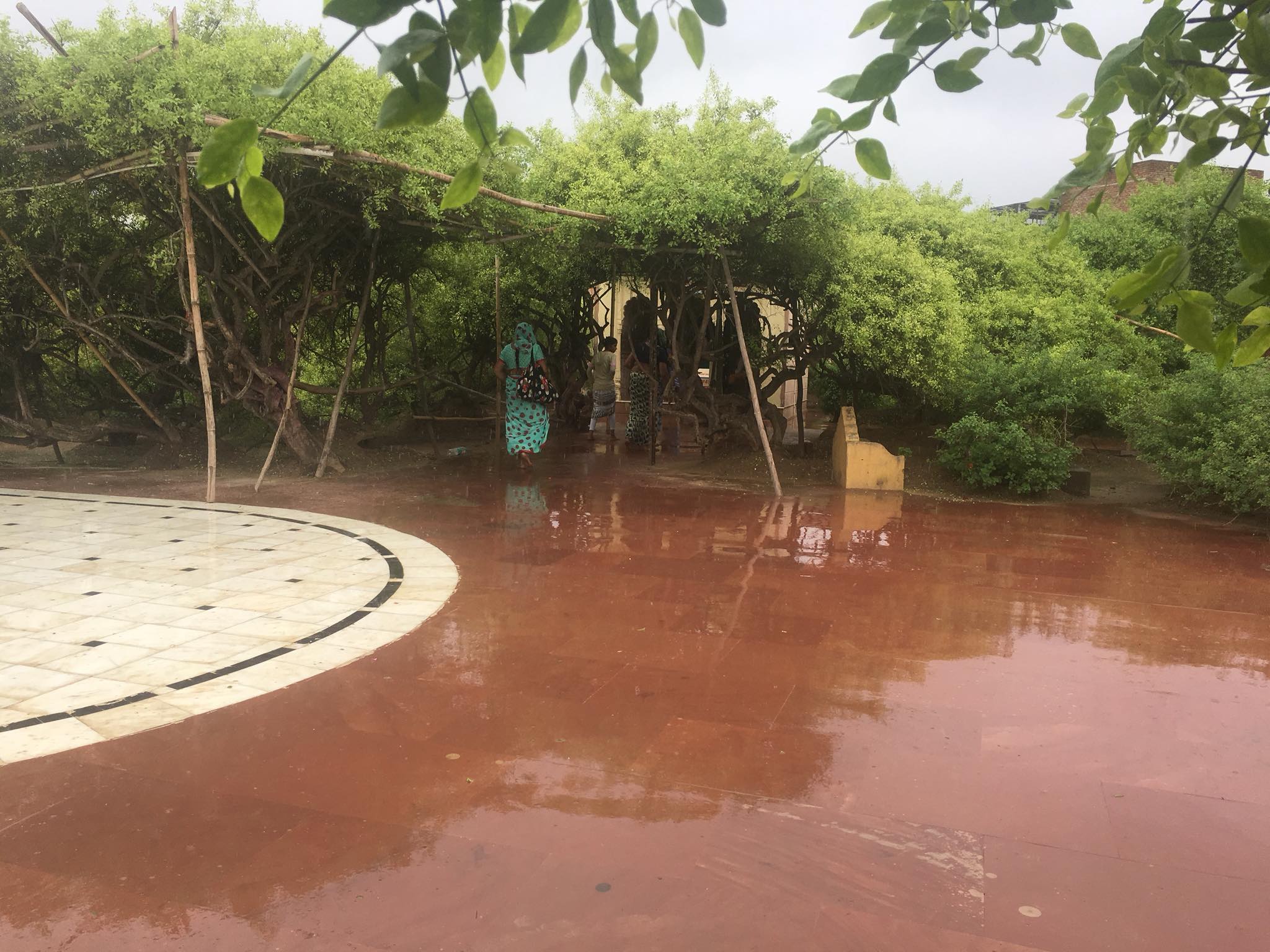 Raining at Nidhivan, Vrindavan @ Bansichor Radharani.