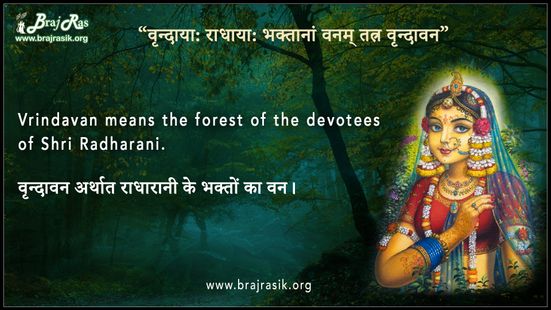 वृन्दाया: राधाया: भक्तानां वनम् तत्र वृन्दावन