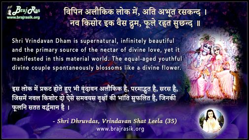 Vipin Alaukik Lok Mein, Ati Abhut Raskand - Vrindavan Shat Leela (35)
