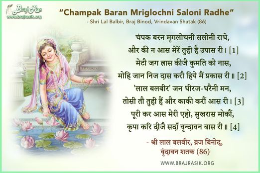 चंपक बरन मृगलोचनी सलोनी राधे - श्री लाल बलबीर, ब्रज बिनोद, वृन्दावन शतक (86)