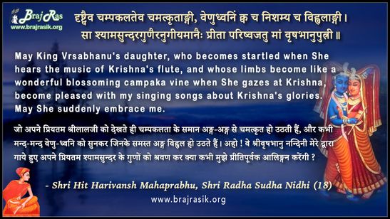 दृष्ट्वैव चम्पकलतेव चमत्कृताङ्गी - श्री हित हरिवंश महाप्रभु, श्री राधा सुधा निधि (18)