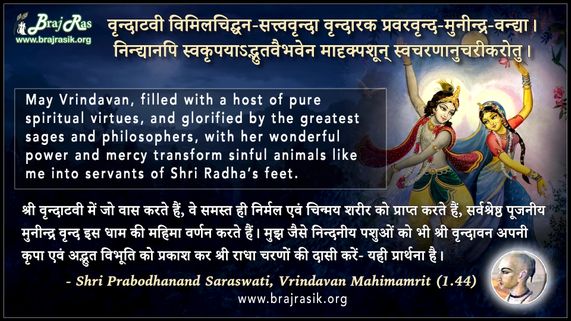 Vrindaatavi Vimilachidghan - Shri Prabodhanand Saraswati, Vrindavan Mahimamrit (1.44)