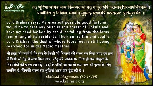 Tad Bhuri-Bhagyam Iha Janma Kim Apy Atavyam - Shrimad Bhagwatam (10.14.34)