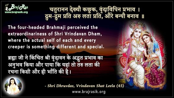 चतुरानन देख्यौ कछुक - श्री ध्रुवदास, बयालीस लीला, वृन्दावन शत लीला (45)