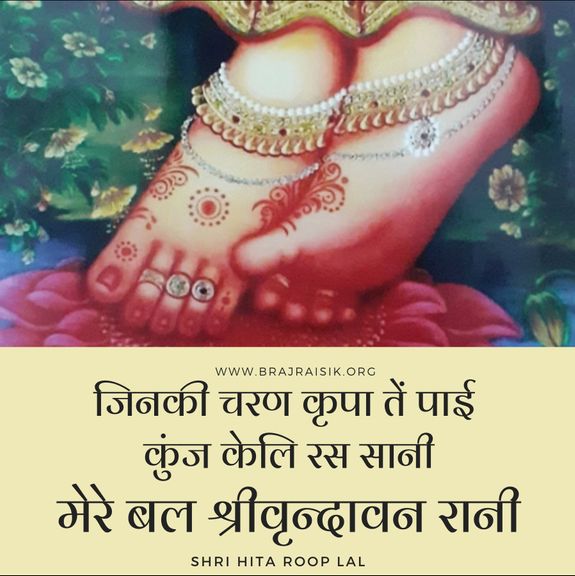 जिनकी चरण कृपा तें पाई कुंज केलि रस सानी