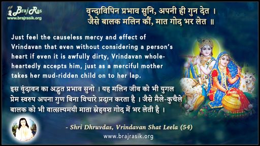 वृन्दाविपिन प्रभाव सुनि -  श्री ध्रुवदास, बयालीस लीला, वृन्दावन शत लीला (54)