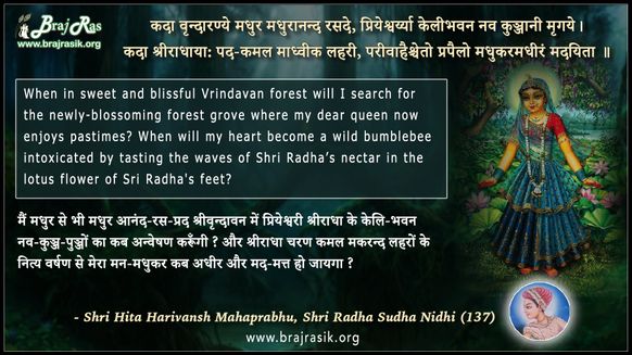 कदा वृन्दारण्ये मधुर मधुरानन्द रसदे - श्री हित हरिवंश महाप्रभु, श्री राधा सुधा निधि (137)