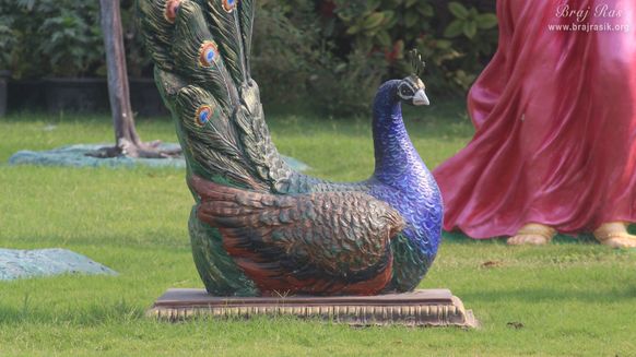 Peacock statue at Prem Mandir, Vrindavan