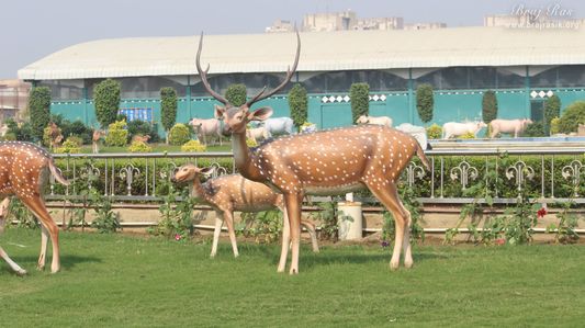 Deer statue at Prem Mandir, Vrindavan