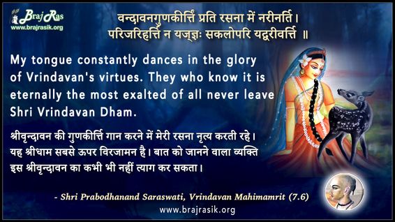 वन्दावनगुणकीर्त्तिं प्रति रसना में नरीनर्ति - श्री प्रबोधानन्द सरस्वती, वृन्दावन महिमामृत (7.6)