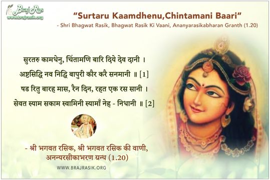 Surataru Kamadhenu, Chintamani Bari Diye Deva Dani  - Shri Bhagwat Rasik, Ananyarasikabharan Granth (1.20)