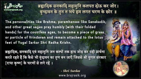 Bhramaidk Sankadi Mahamuni Kalpat Dou Kar Jor - Shri Surdas