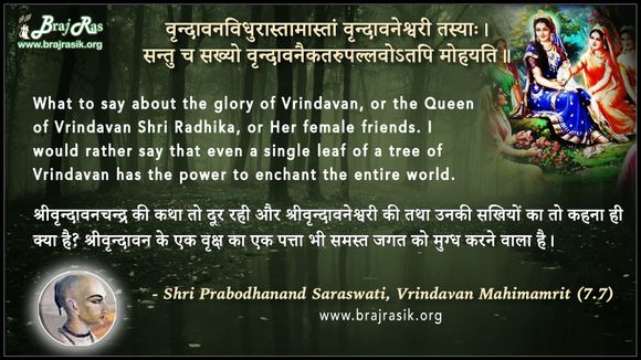 Vrindavanvidhurastamasatam Tasya - Shri Prabodhanand Saraswati, Vrindavan Mahimamrit (7.7)