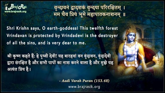 वृन्दावनं द्वादशकं वृन्दया परिरक्षितम् - आदि वराह पुराण (153.48)
