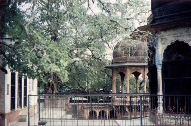 Old Kalidah, Vrindavan - 1984 