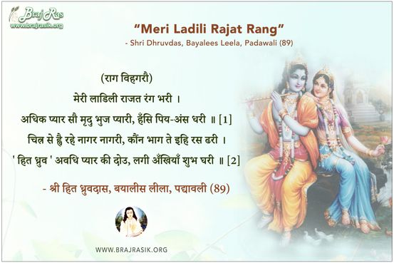 मेरी लाडिली राजत रंग भरी - श्री हित ध्रुवदास, बयालीस लीला, पद्यावली (89)