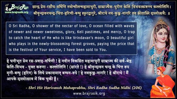 सान्द्र प्रेम-रसौघ-वर्षिणि - श्री हित हरिवंश महाप्रभु, श्री राधा सुधा निधि (206)