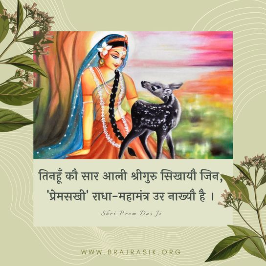 तिनहूँ कौ सार आली श्रीगुरु सिखायौ 