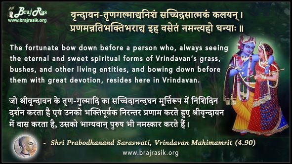 वृन्दावन-तृणगल्माद्यनिशं - श्री प्रबोधानन्द सरस्वती, वृन्दावन महिमामृत (4.90)