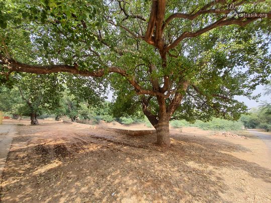 View of Kadambkhandi.