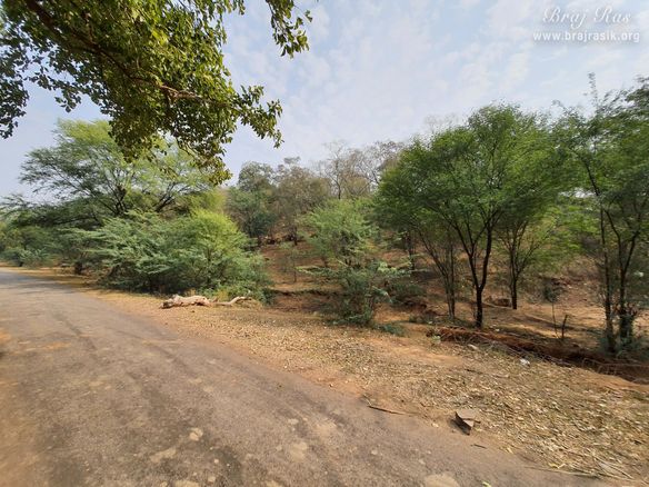 A view of the forest of Kadambkhandi.