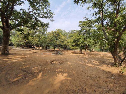 A nice view of Kadambkhandi.
