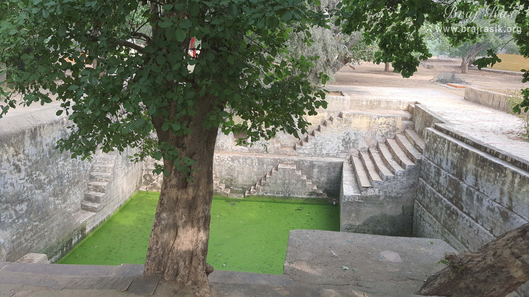 A nice view of Shri Krishn Kund.