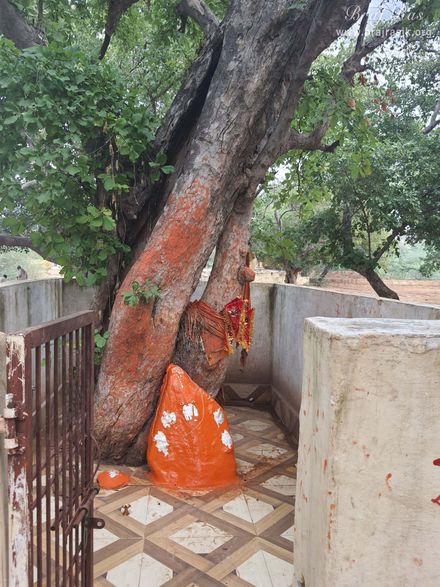 Nagaji worshipped Shri Banke Bihari deity here which His Guru gave him almost 250years ago in the 17th century.