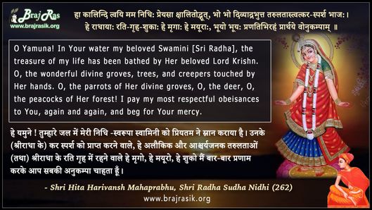 हा कालिन्दि त्वयि मम - श्री हित हरिवंश महाप्रभु, श्री राधा सुधा निधि (262)