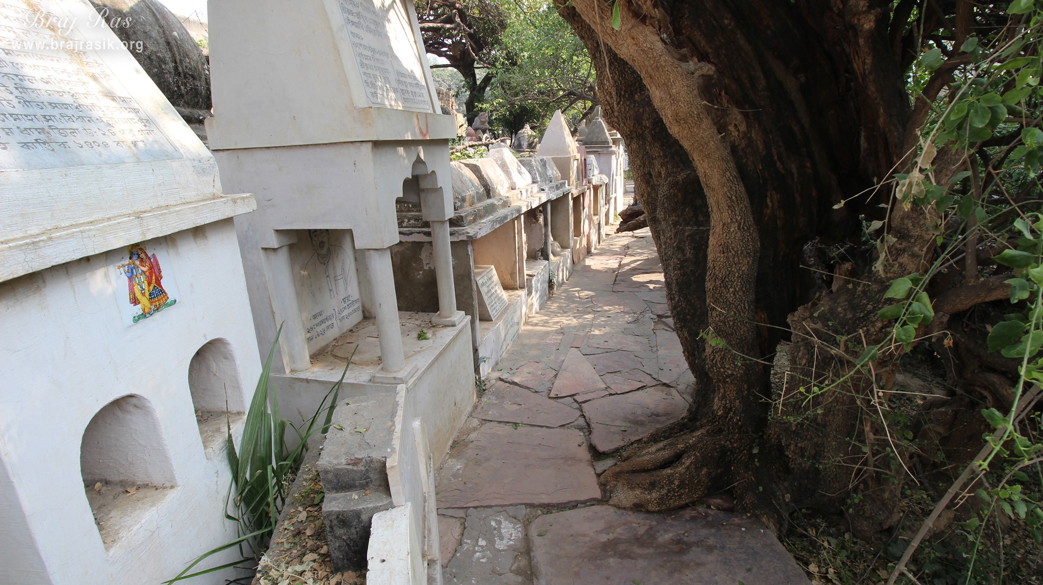 Backside view of Samadhi's at 64 Samadhis - Shri Chaushatt Mahant Samadhi Mandir Pastimes - Vrindavan
