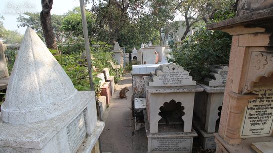 A nice view of samadhi's along parikrama marg at 64 Samadhis - Shri Chaushatt Mahant Samadhi Mandir Pastimes - Vrindavan