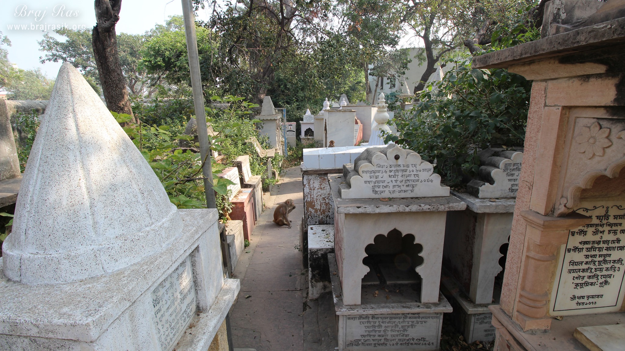 A nice view of samadhi's along parikrama marg at 64 Samadhis - Shri Chaushatt Mahant Samadhi Mandir Pastimes - Vrindavan