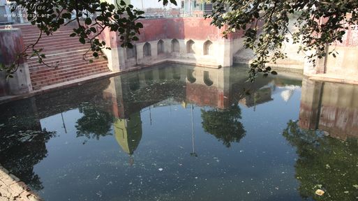 Close view of the waters of the pond at Davanal Kund, Vrindavan.