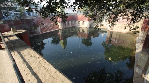 A view of the waters of the pond at Davanal Kund, Vrindavan.