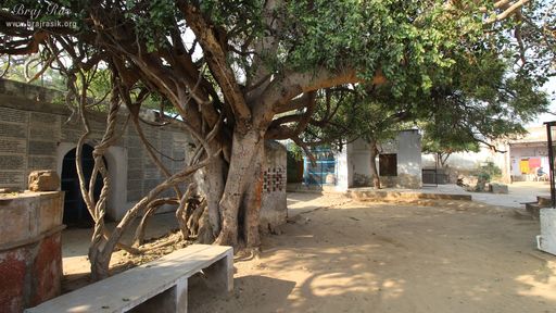 Inside temple view at Shri Davanal Bihari Temple near Davanal Kund, Vrindavan.