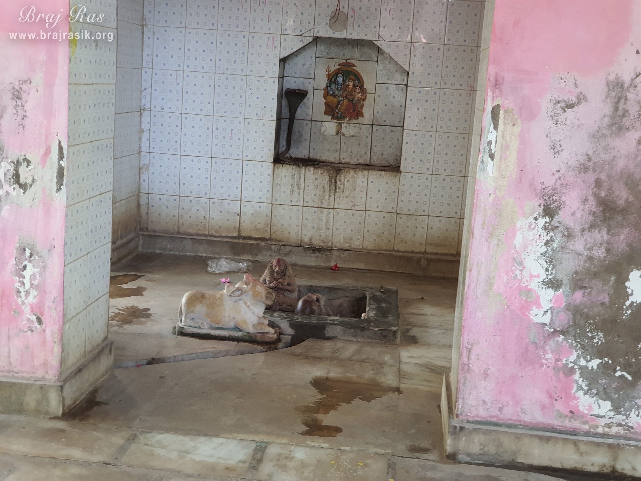 A beautiful darshan of Shiv Linga at Shri Radha Bag, Barsana
