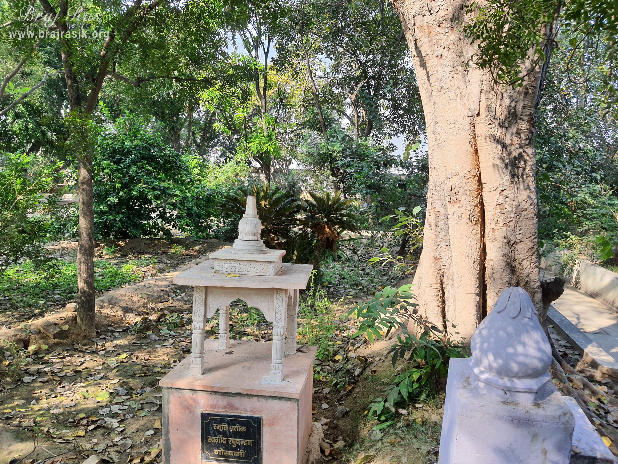 An inside view of garden at Shri Radha Bag, Barsana