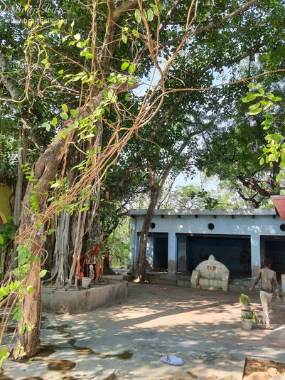 A different view of inside at Shri Radha Bag, Barsana