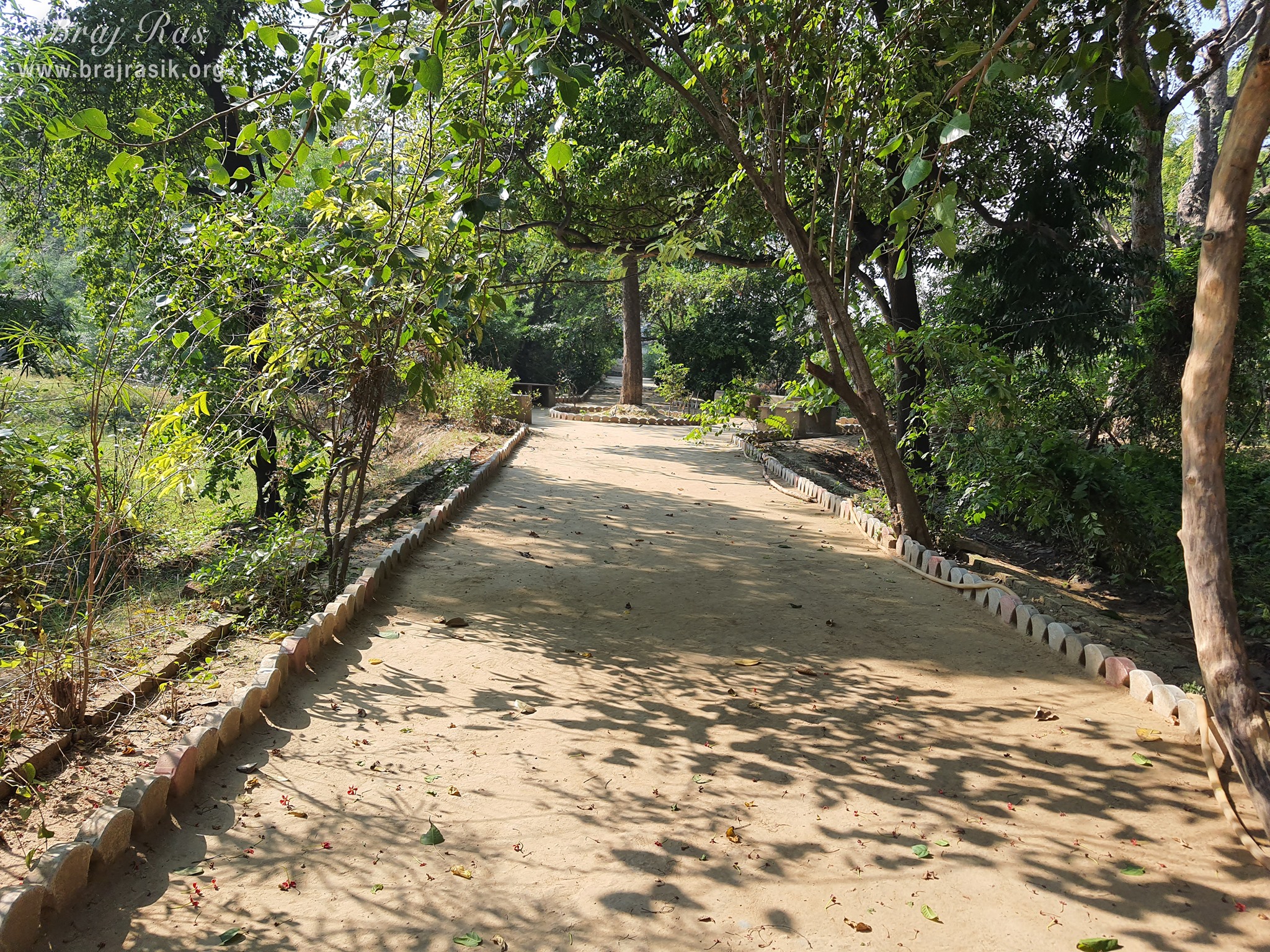 A beautiful nice path inside the garden at Shri Radha Bag, Barsana