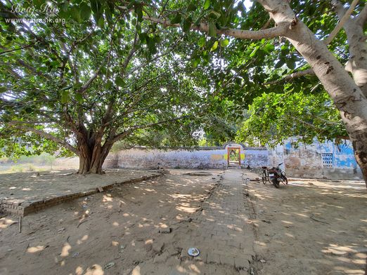 Inside view of Shri Radha Bag, Barsana