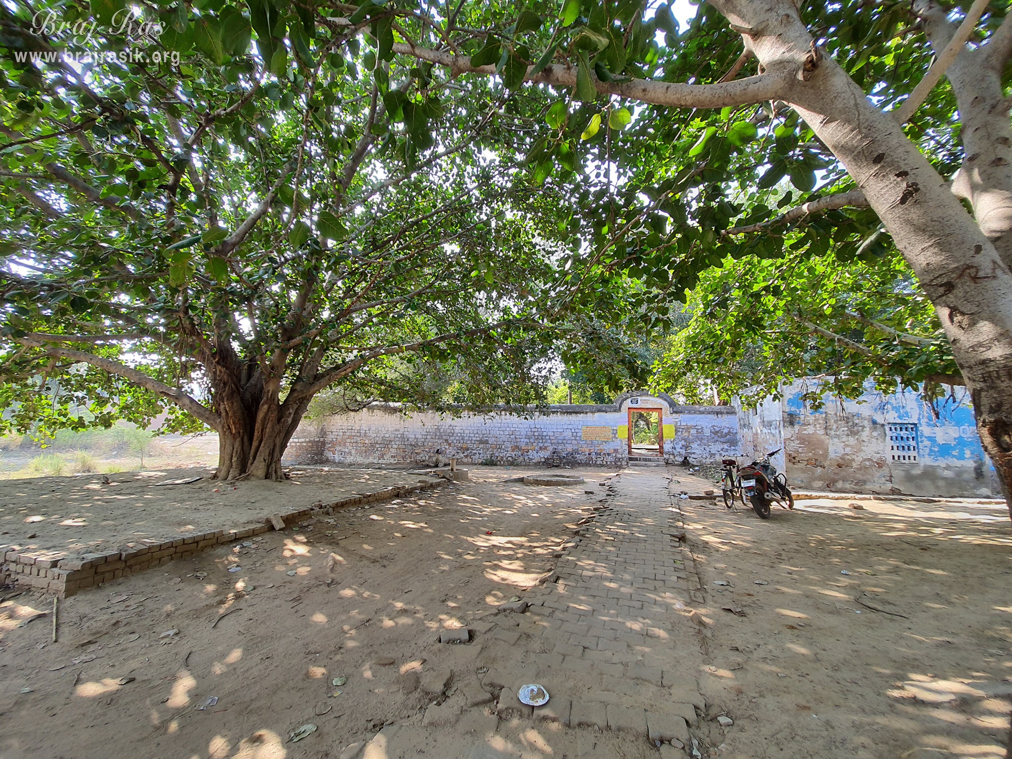 Inside view of Shri Radha Bag, Barsana