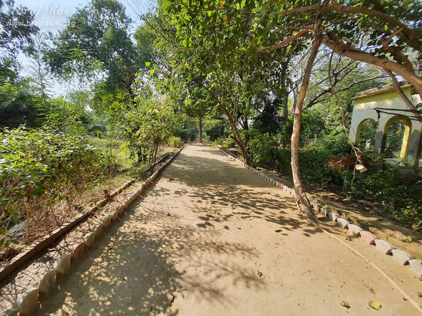 Very nicely created path at Shri Radha Bag, Barsana