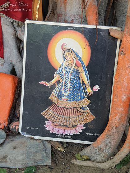 Portrait of Shri Radharani is placed beneath a tree at Shri Radha Bag, Barsana
