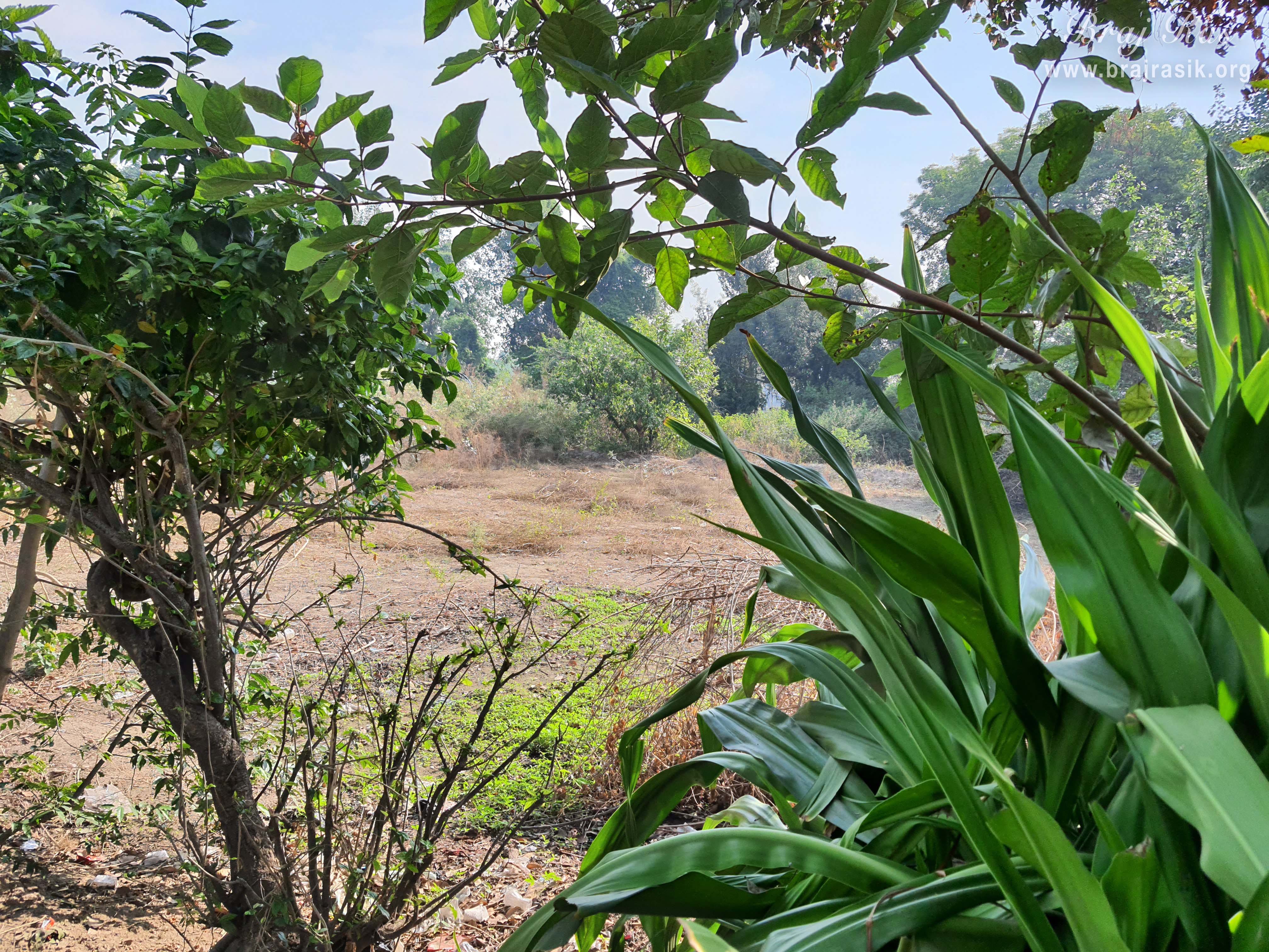 Glimpses of Vrishbhanu Bagh, Barsana.