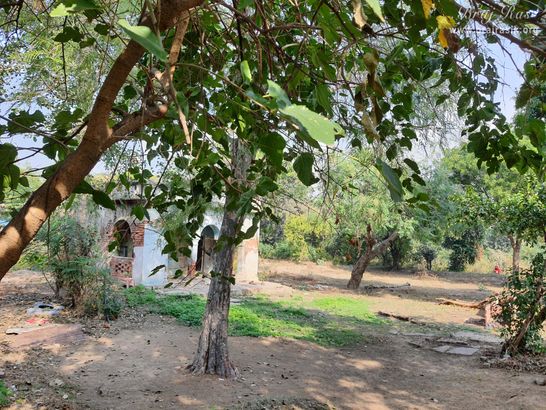श्री वृषभानु बाग, बरसाना का एक दृश्य।