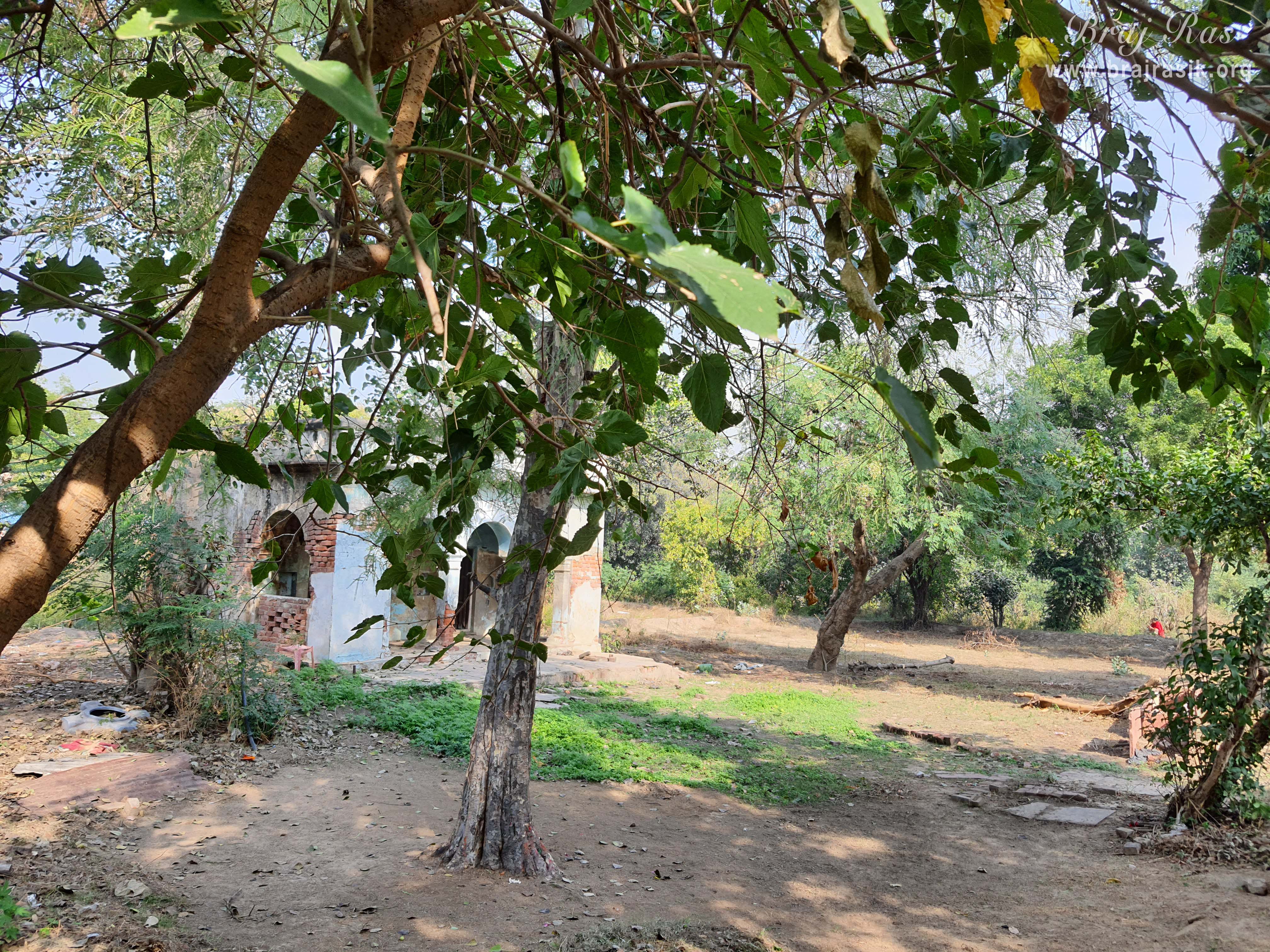 A View of Shri Vrishbhanu Bagh, Barsana.