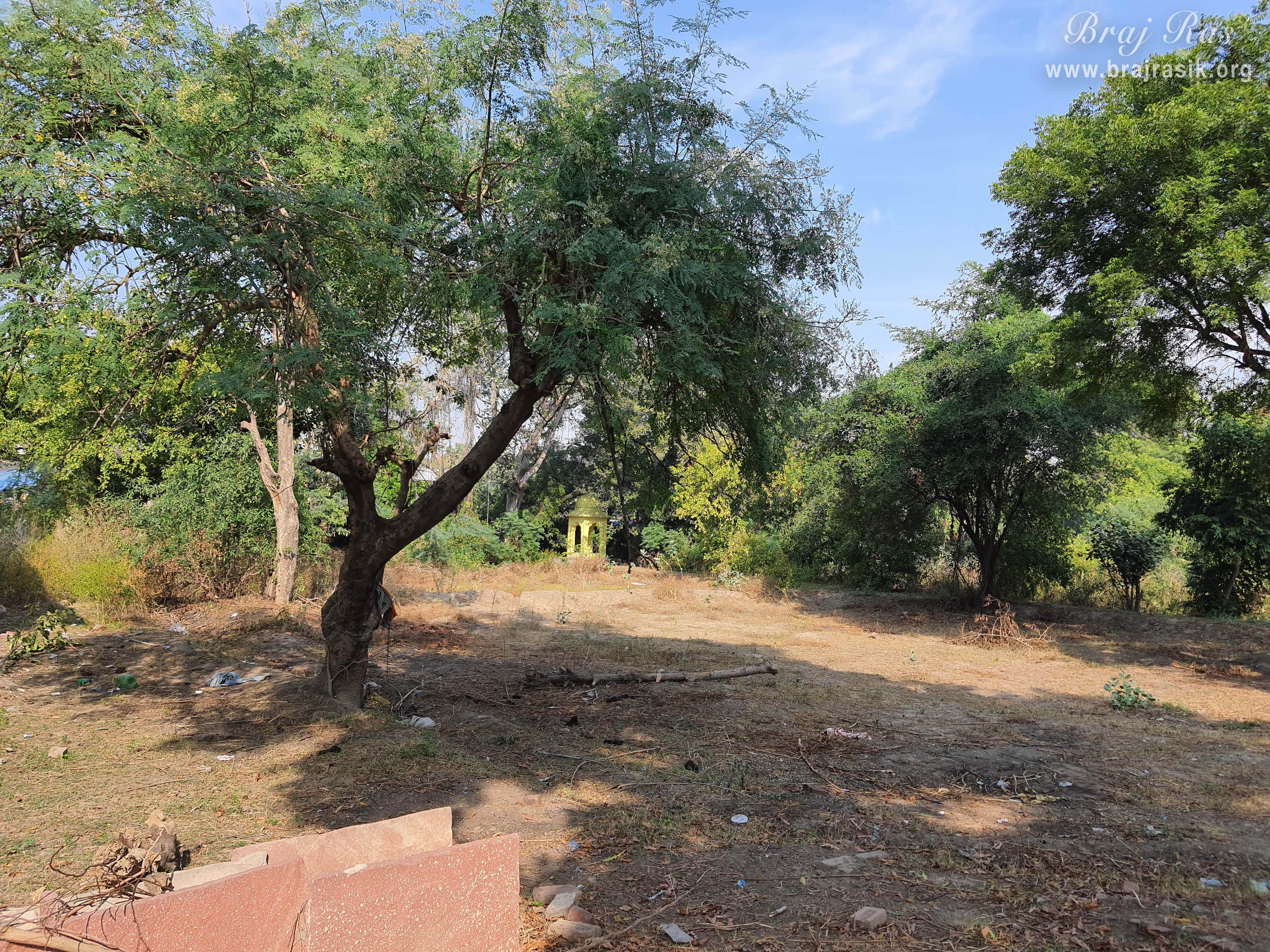 Another View  @ Shri Vrishbhanu Bagh, Barsana.