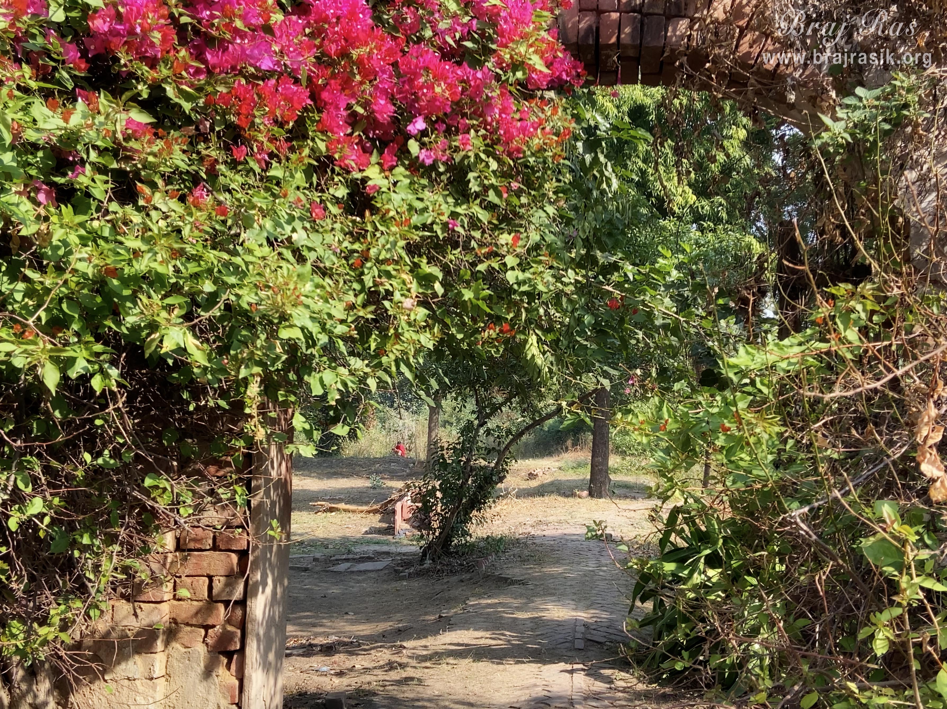 Entrance of Shri Vrishbhanu Bag, Barsana