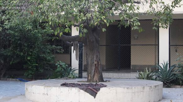 Glimpses of Ashram at Swami Haridas Kunj Kutir.