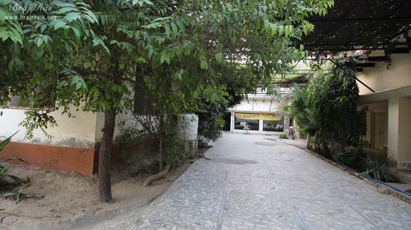 Glimpses of pathway at Swami Haridas Kunj Kutir.